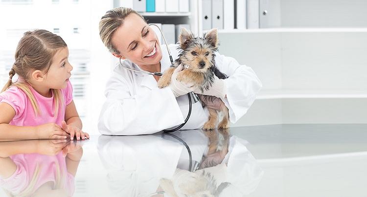 Дефицит специалистов на рынке труда является главным риском открытия ветеринарного бизнеса.